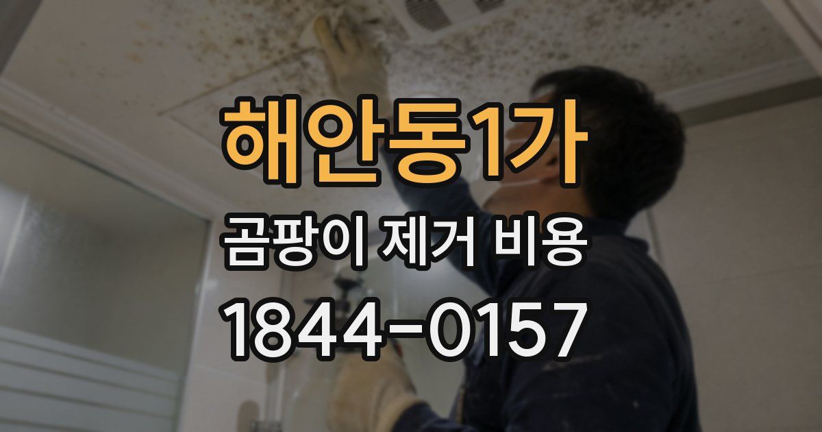 해안동1가 곰팡이 제거 비용