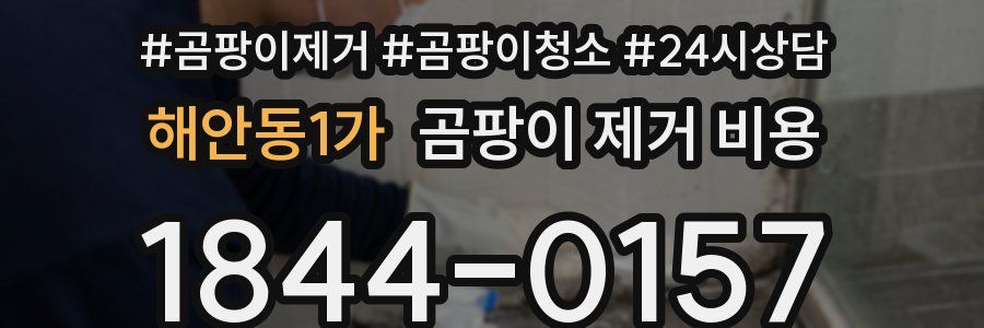 해안동1가 곰팡이 제거 비용