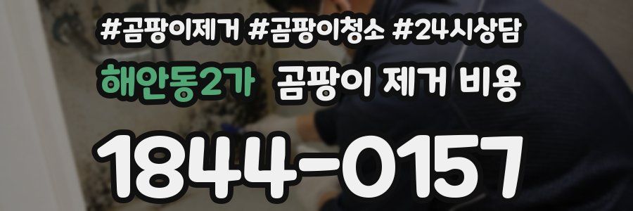 해안동2가 곰팡이 제거 비용
