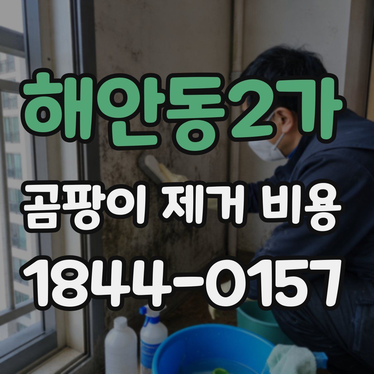 해안동2가 곰팡이 제거 비용