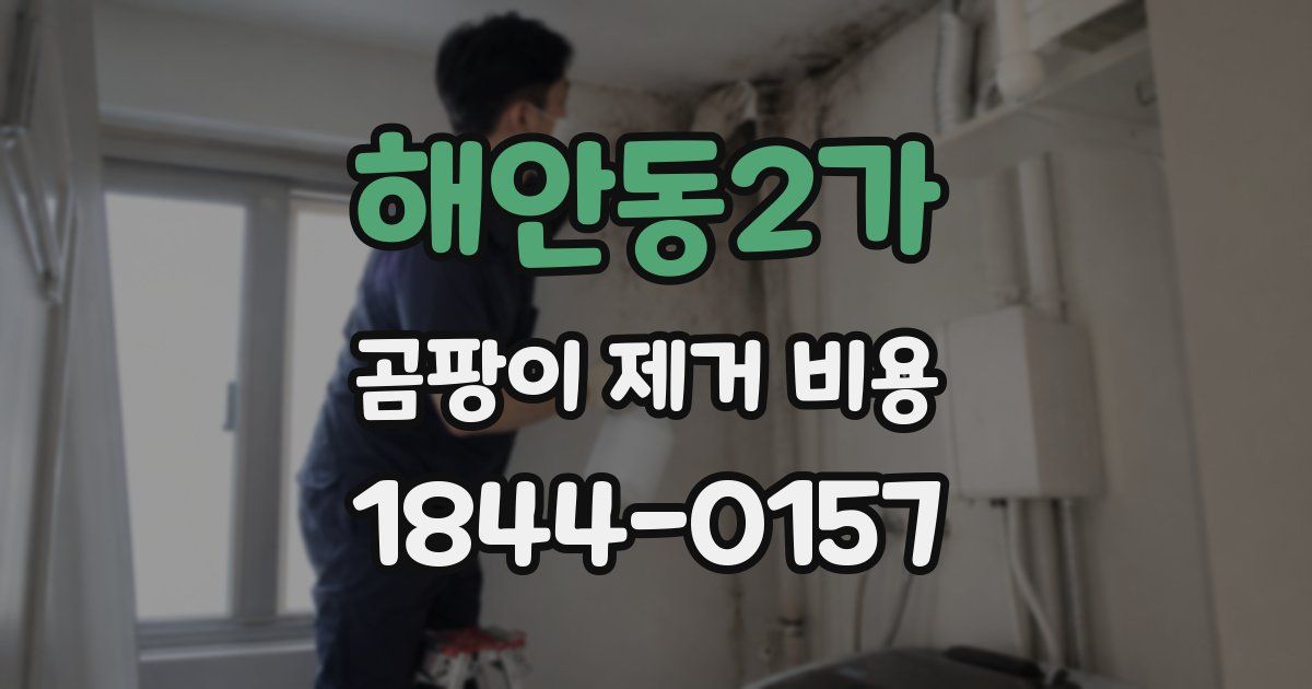 해안동2가 곰팡이 제거 비용