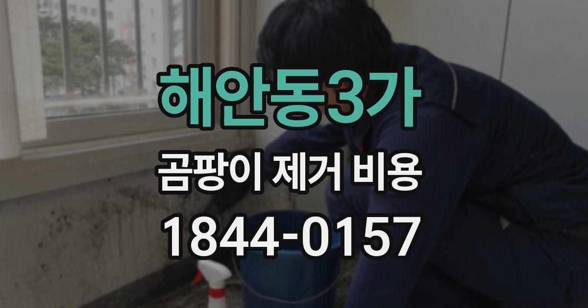 해안동3가 곰팡이 제거 비용
