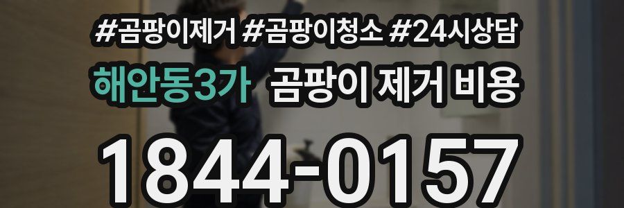 해안동3가 곰팡이 제거 비용