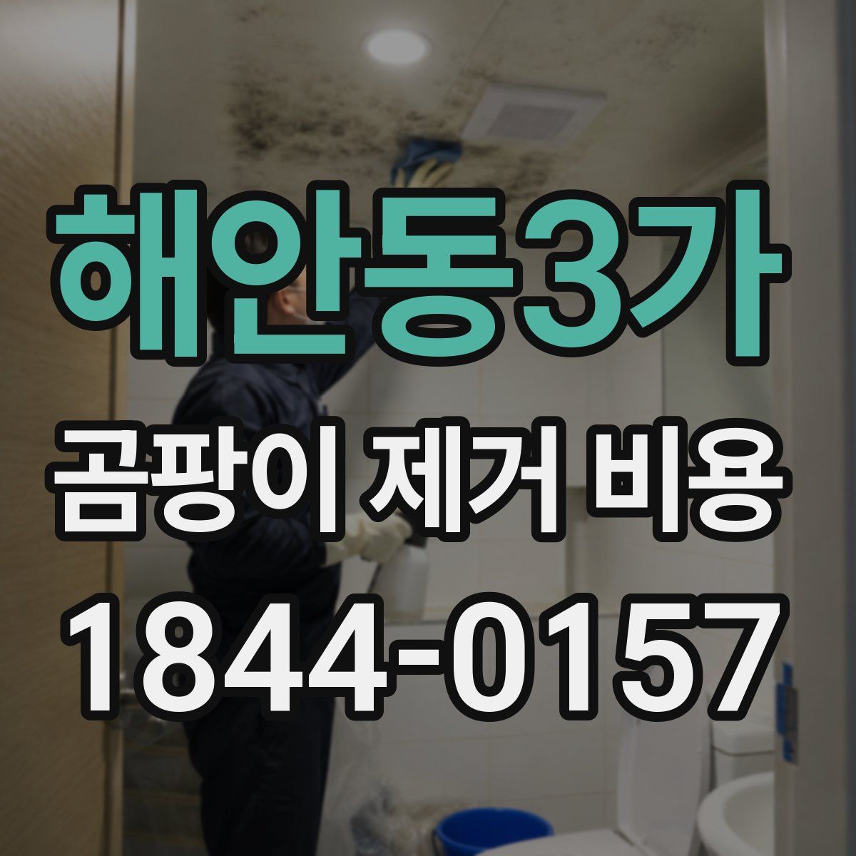 해안동3가 곰팡이 제거 비용