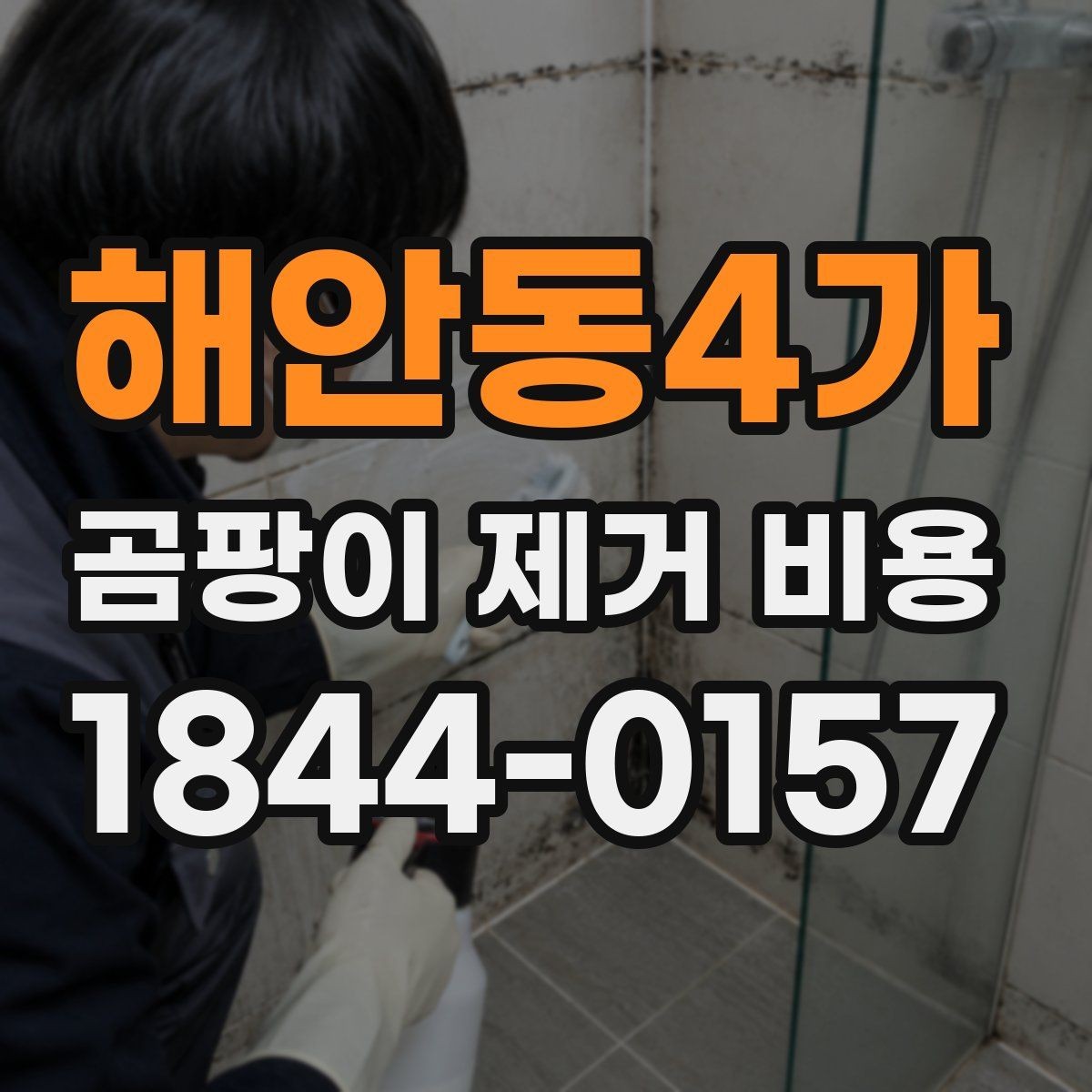 해안동4가 곰팡이 제거 비용 소독 항균 냄새 제거까지 한 번에 볼 기준