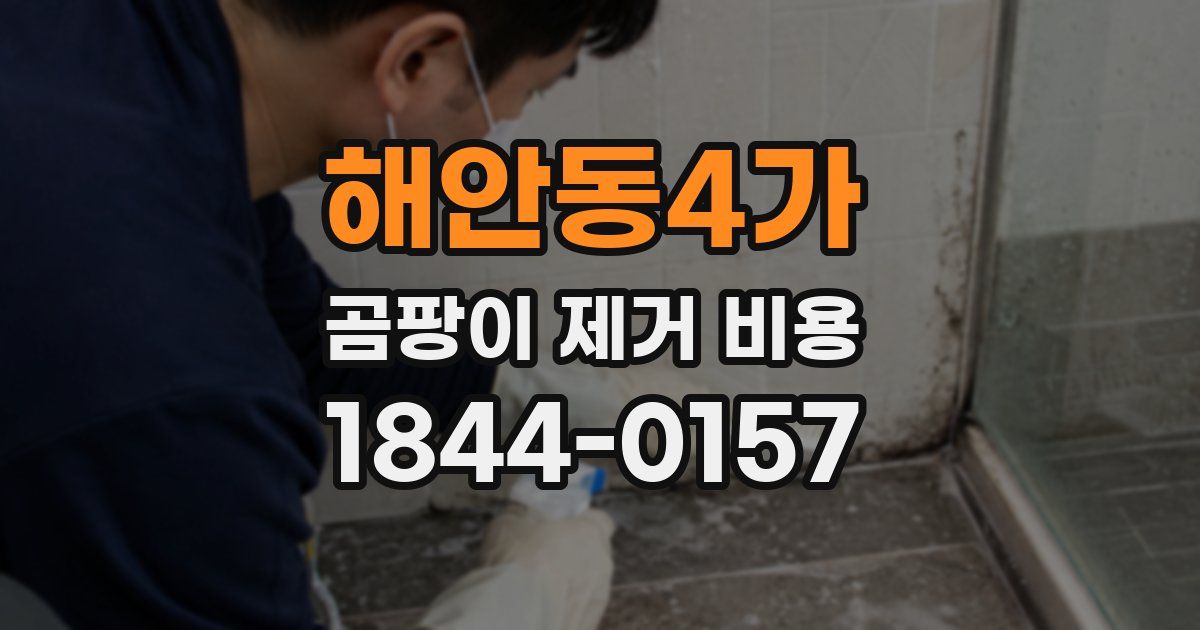 해안동4가 곰팡이 제거 비용