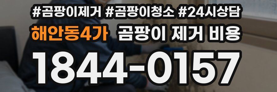 해안동4가 곰팡이 제거 비용