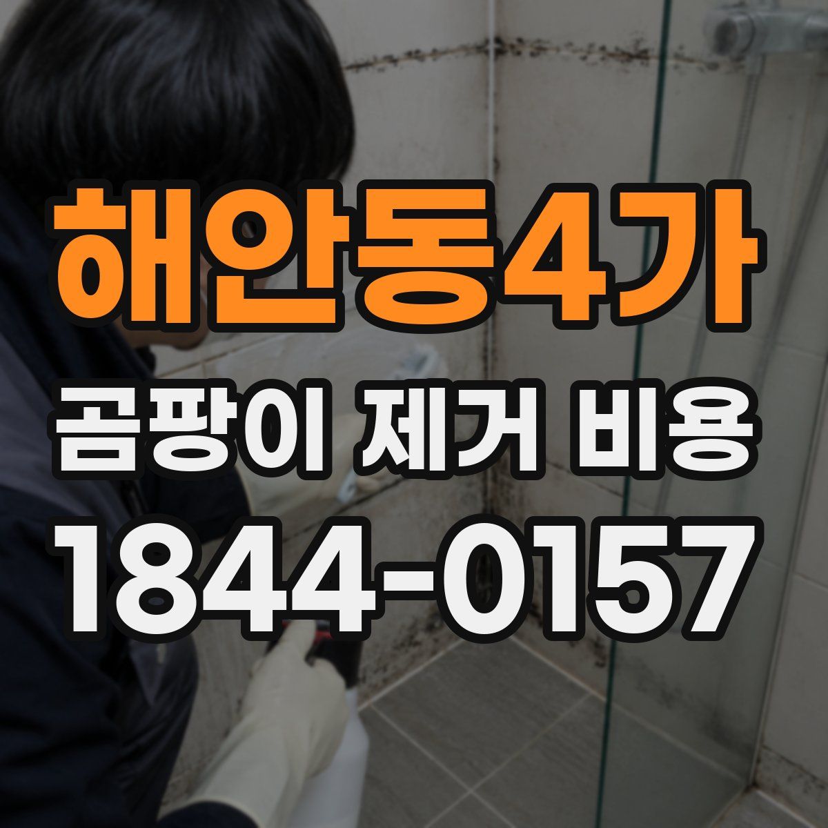 해안동4가 곰팡이 제거 비용