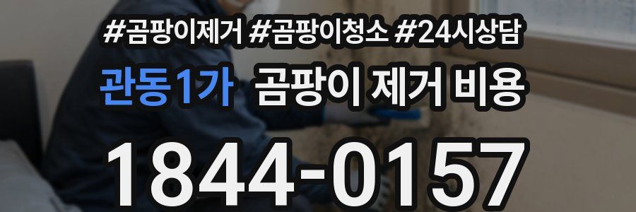 관동1가 곰팡이 제거 비용