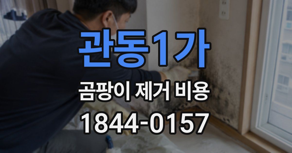 관동1가 곰팡이 제거 비용
