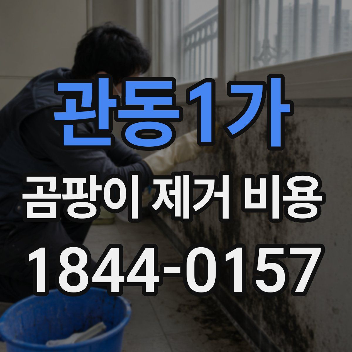관동1가 곰팡이 제거 비용