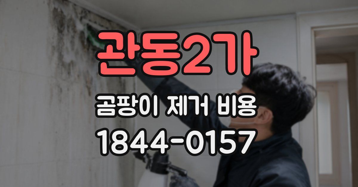 관동2가 곰팡이 제거 비용
