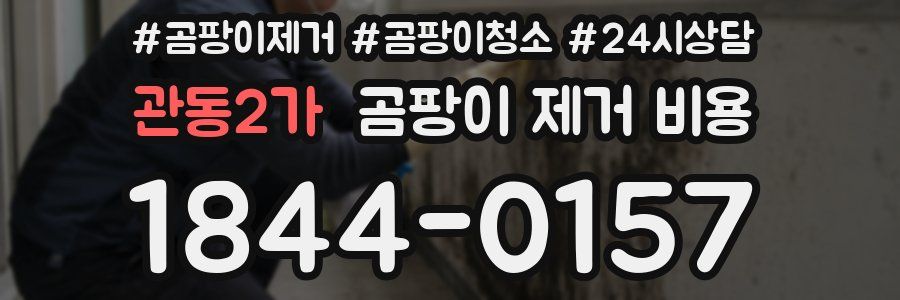 관동2가 곰팡이 제거 비용
