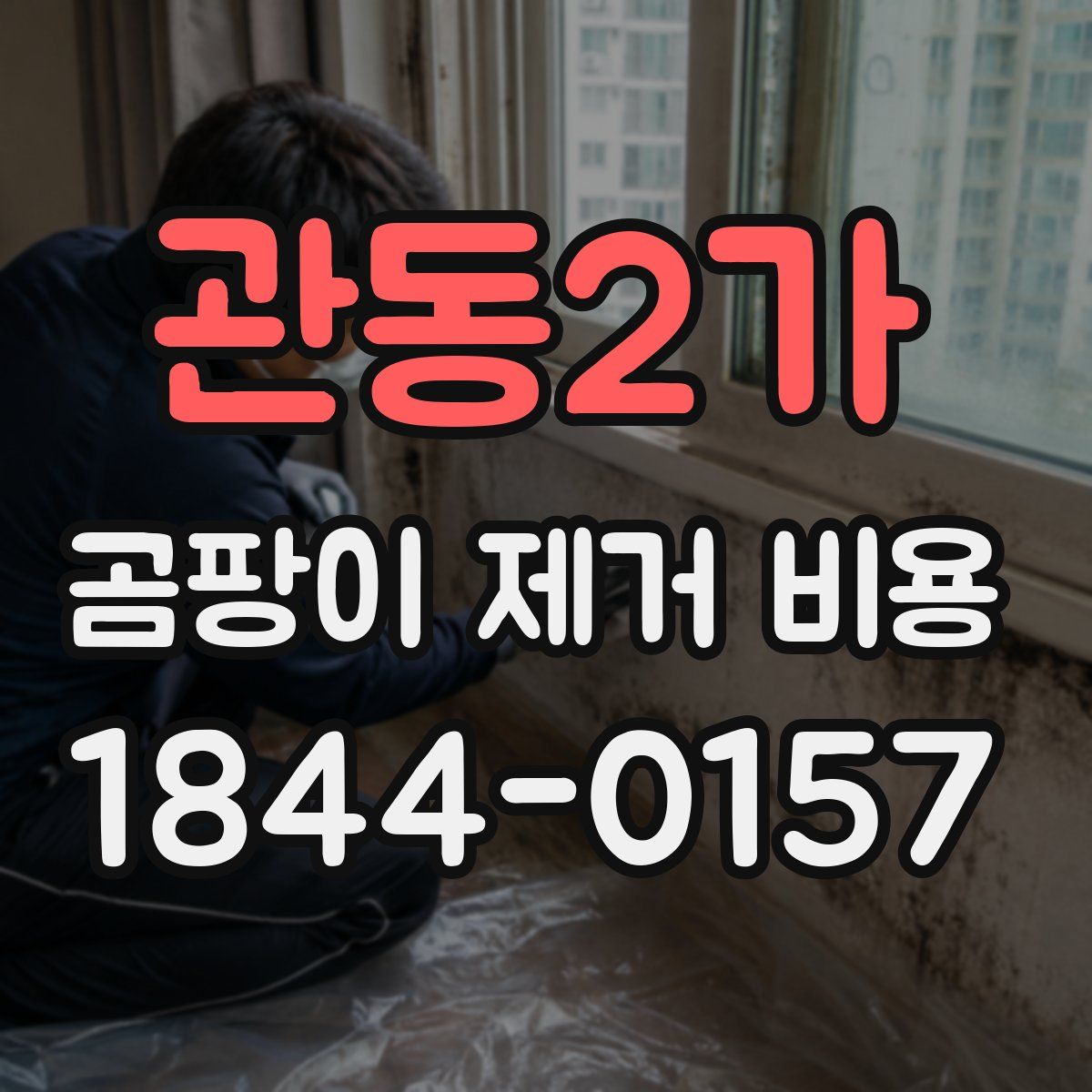 관동2가 곰팡이 제거 비용