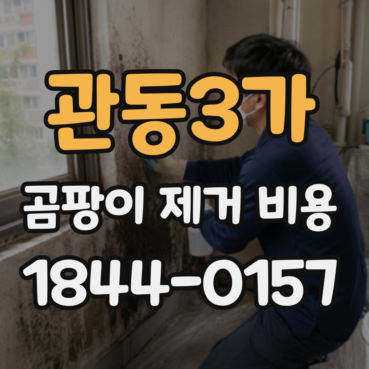 관동3가 곰팡이 제거 비용