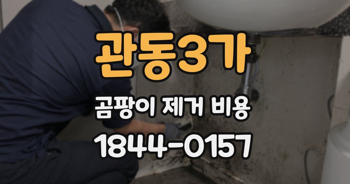 관동3가 곰팡이 제거 비용