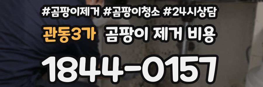 관동3가 곰팡이 제거 비용