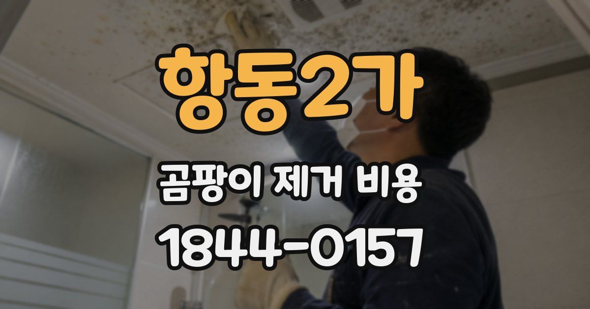 항동2가 곰팡이 제거 비용