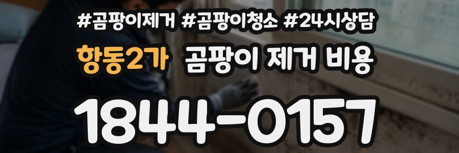항동2가 곰팡이 제거 비용