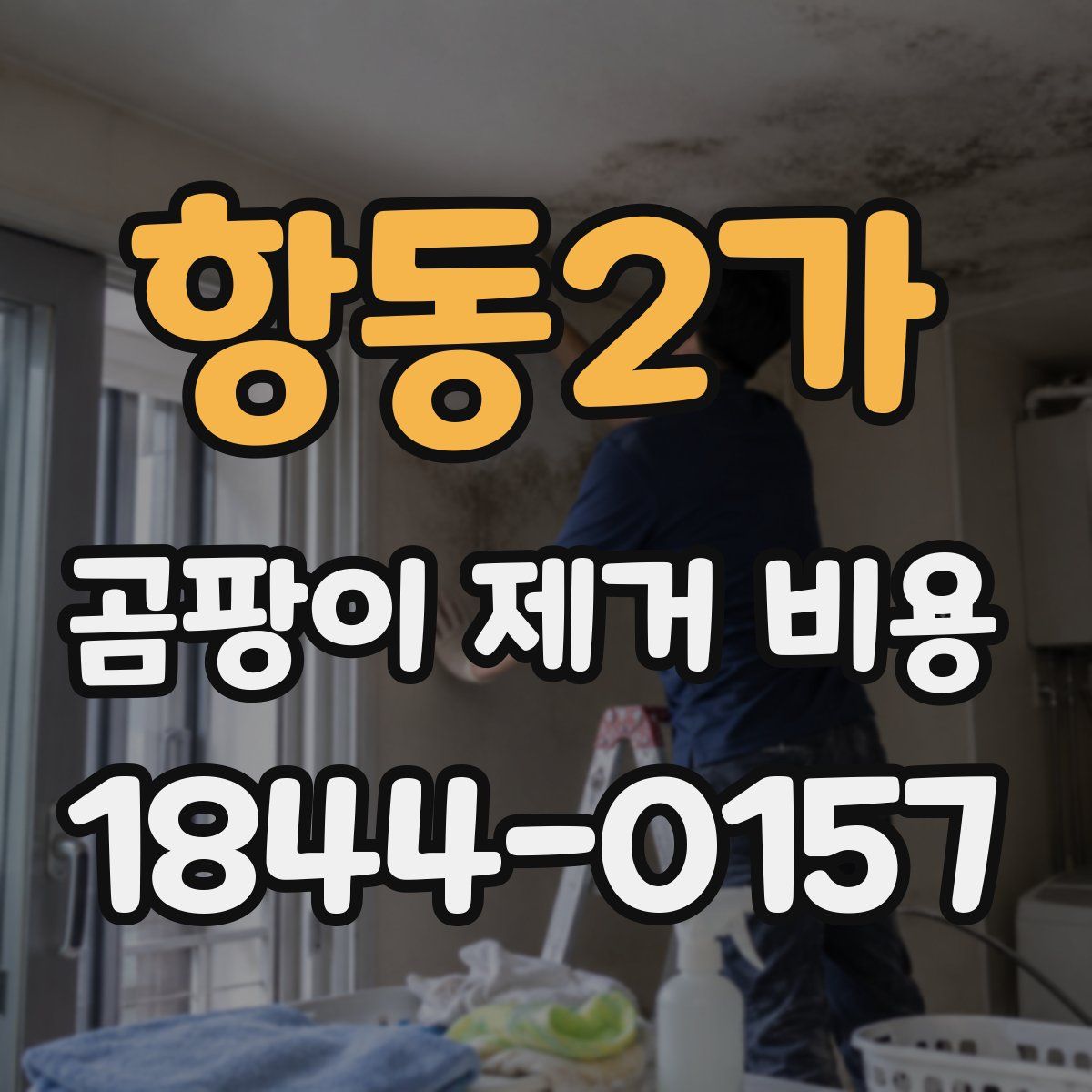 항동2가 곰팡이 제거 비용