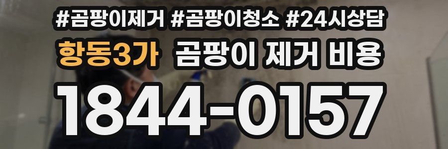 항동3가 곰팡이 제거 비용