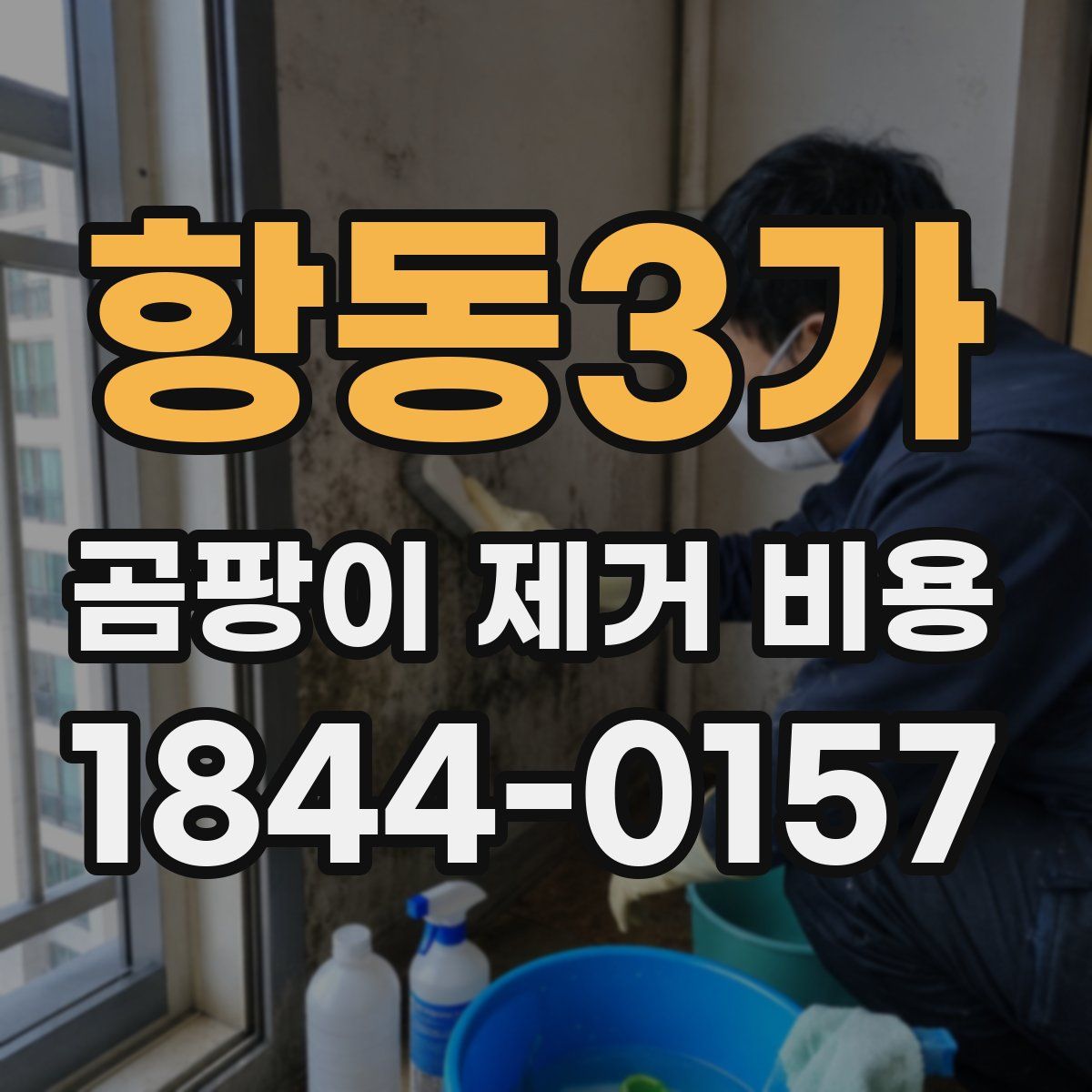 항동3가 곰팡이 제거 비용