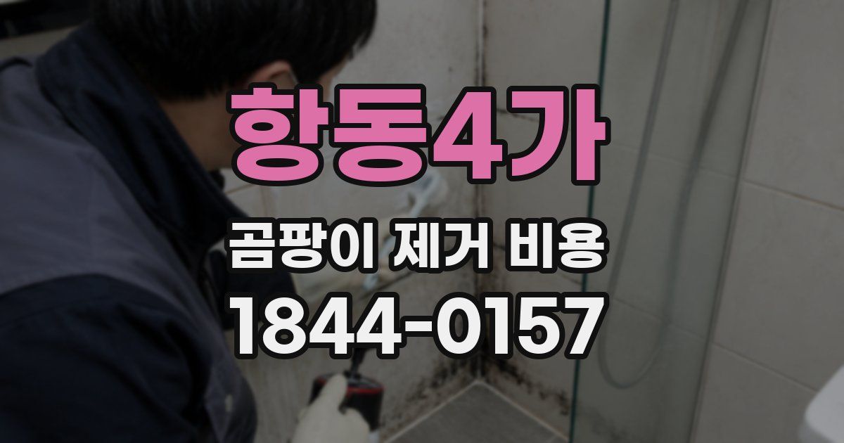항동4가 곰팡이 제거 비용
