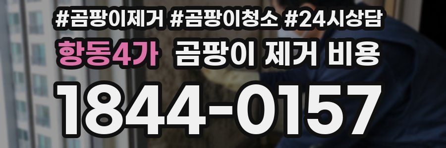 항동4가 곰팡이 제거 비용