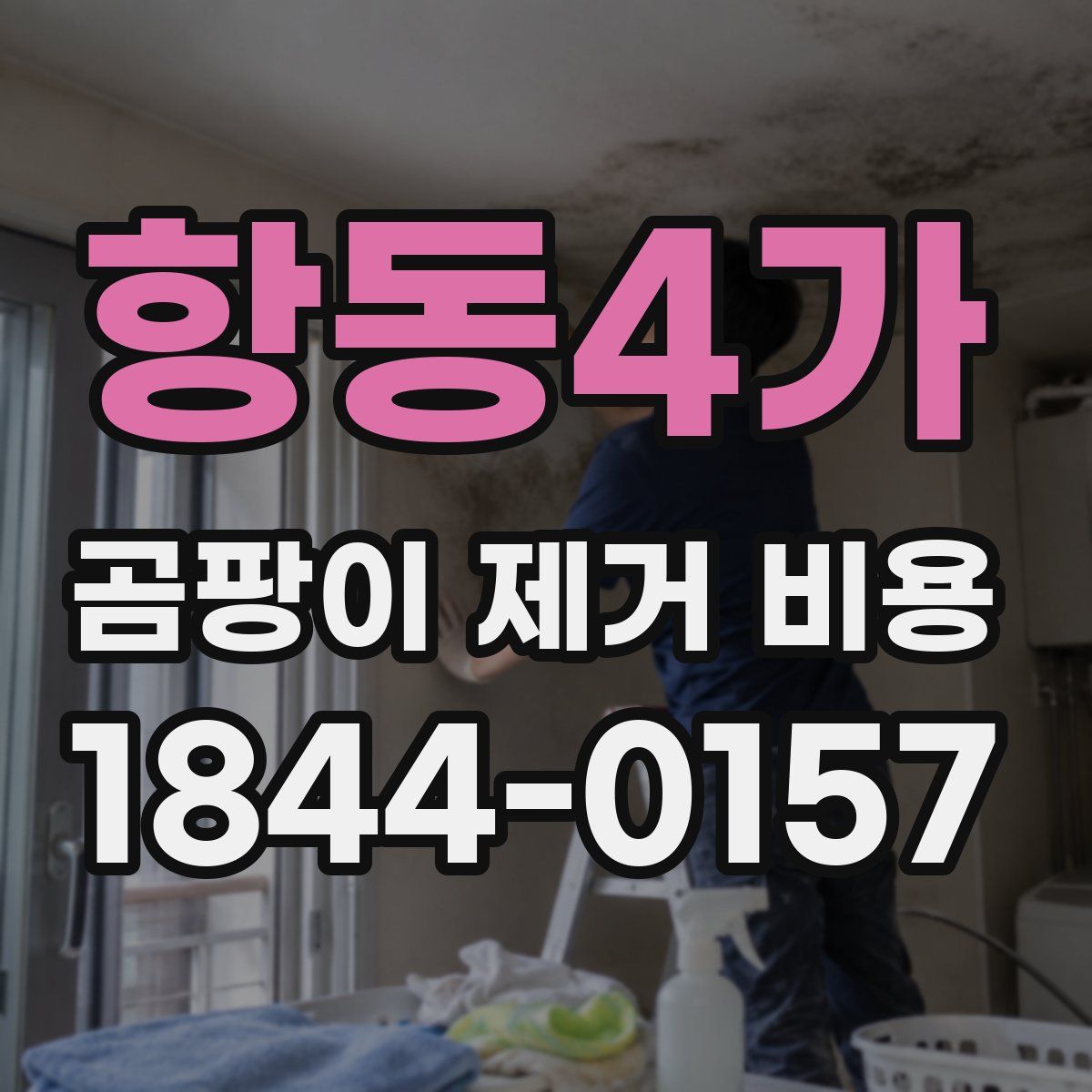 항동4가 곰팡이 제거 비용
