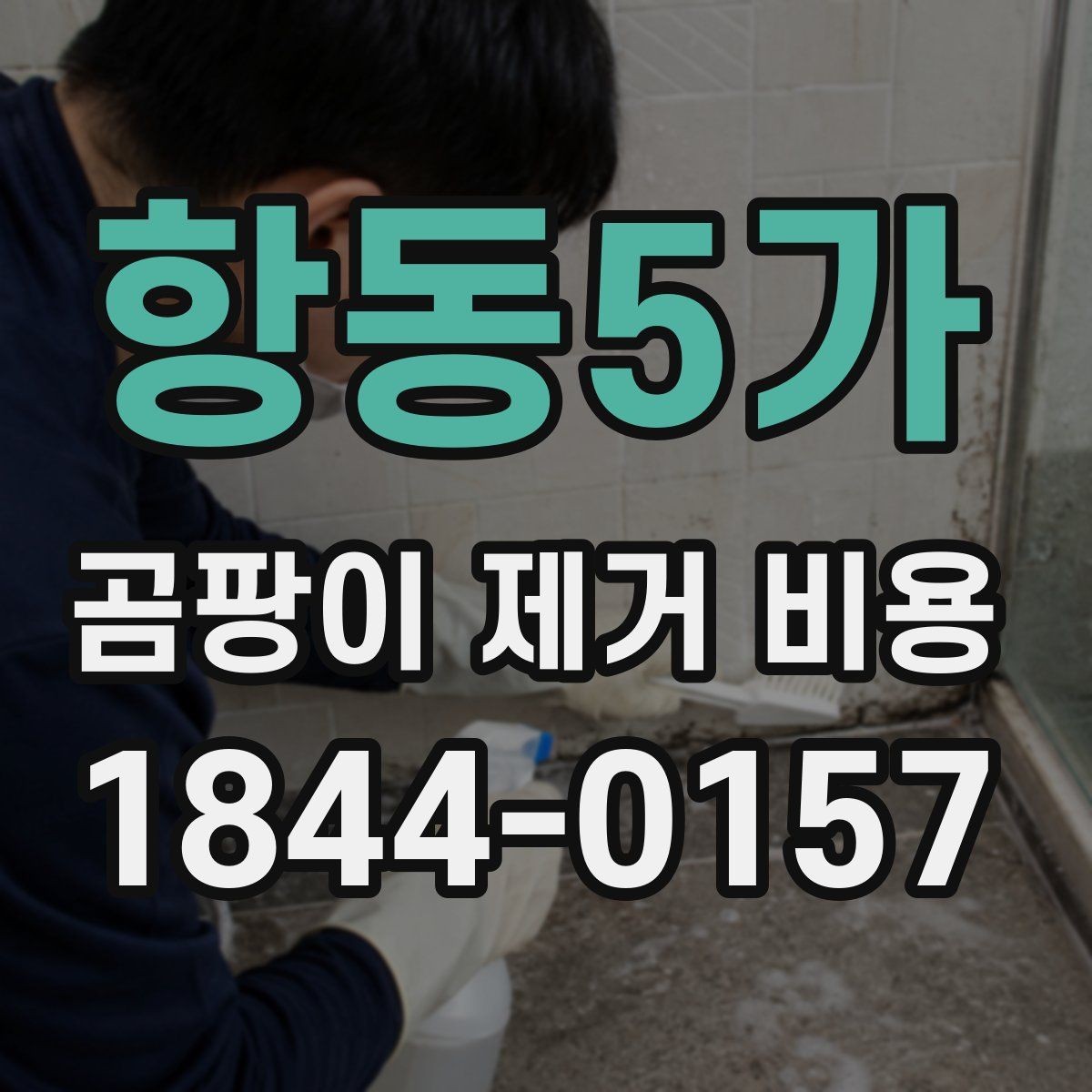항동5가 곰팡이 제거 비용 보험 반영 검토을 먼저 확인해야 하는 이유