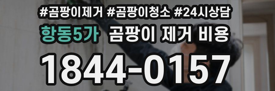 항동5가 곰팡이 제거 비용