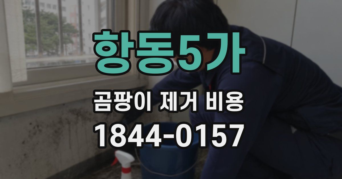 항동5가 곰팡이 제거 비용