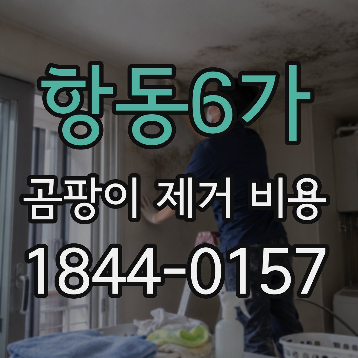 항동6가 곰팡이 제거 비용