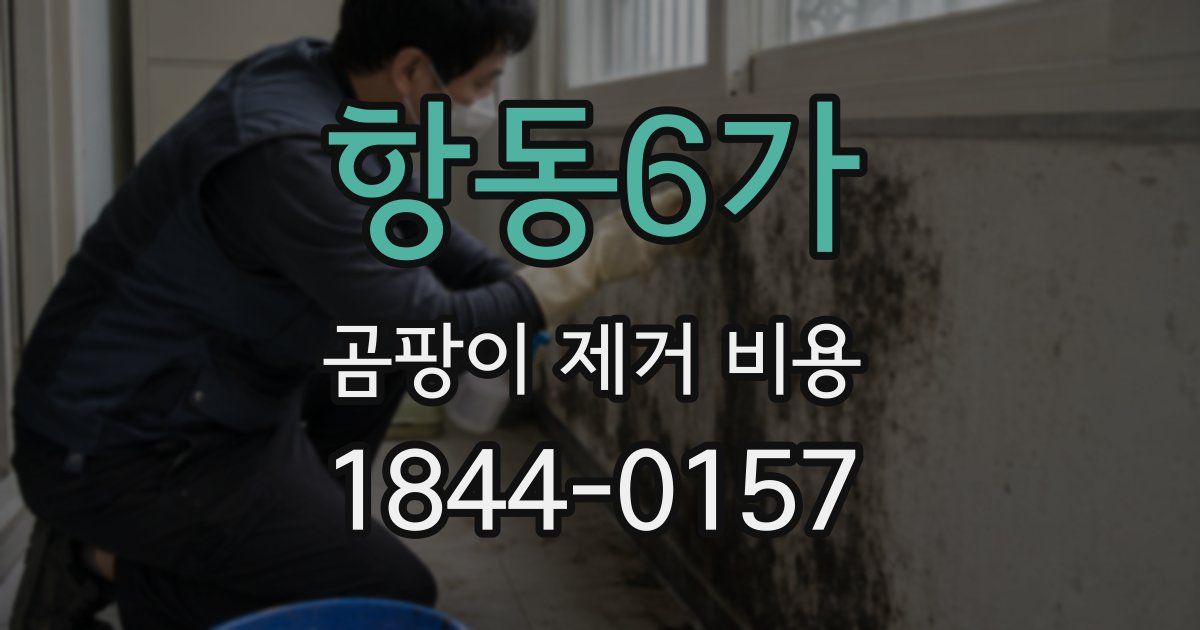 항동6가 곰팡이 제거 비용