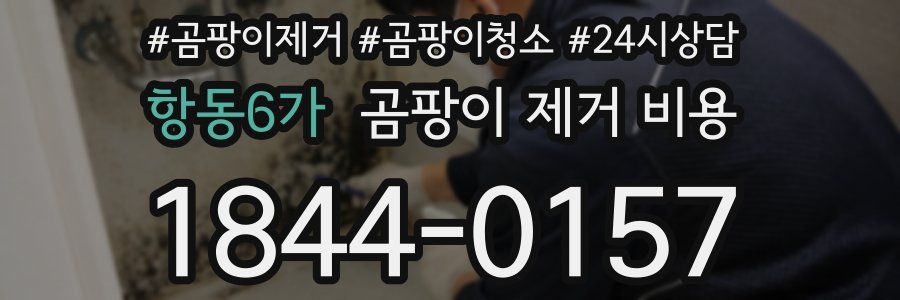 항동6가 곰팡이 제거 비용