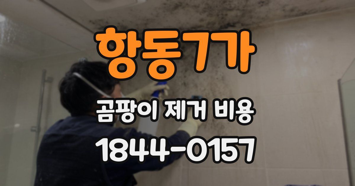 항동7가 곰팡이 제거 비용