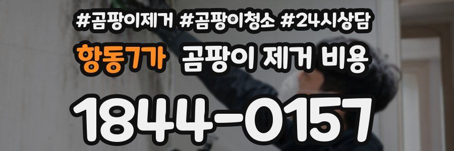 항동7가 곰팡이 제거 비용