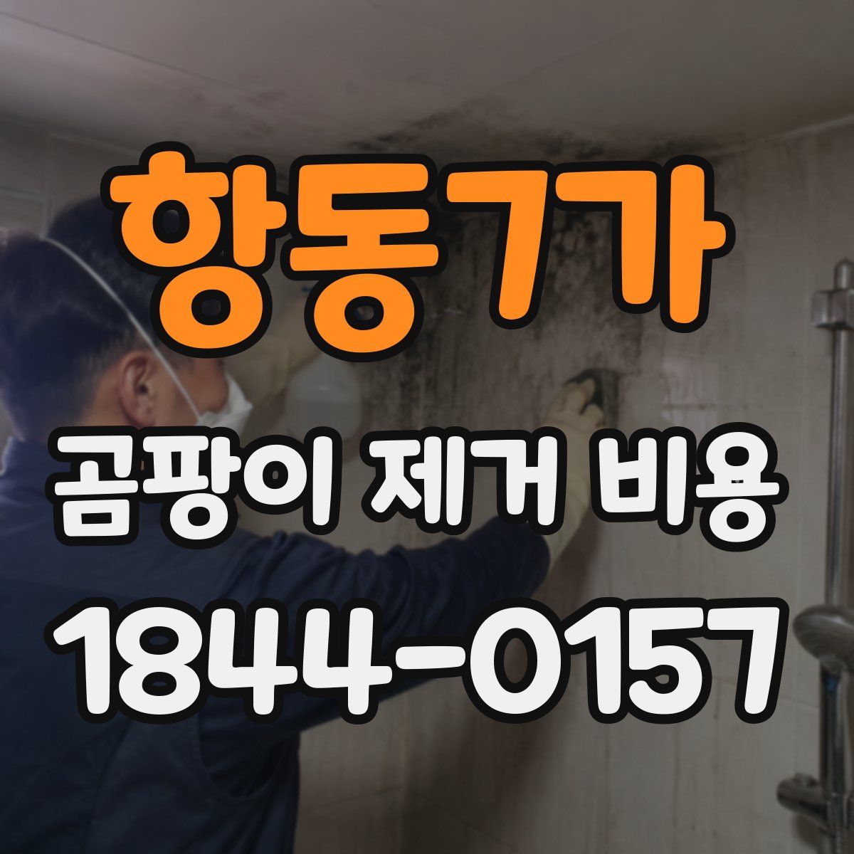 항동7가 곰팡이 제거 비용