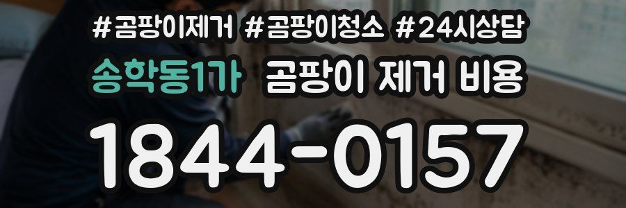 송학동1가 곰팡이 제거 비용