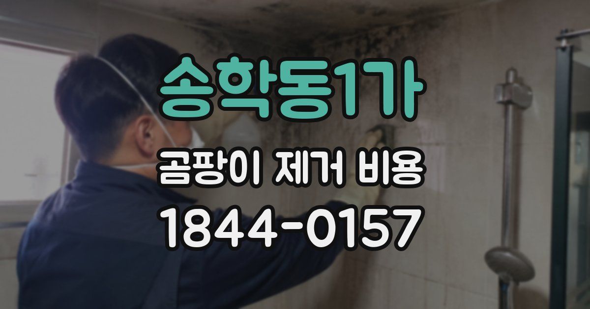 송학동1가 곰팡이 제거 비용