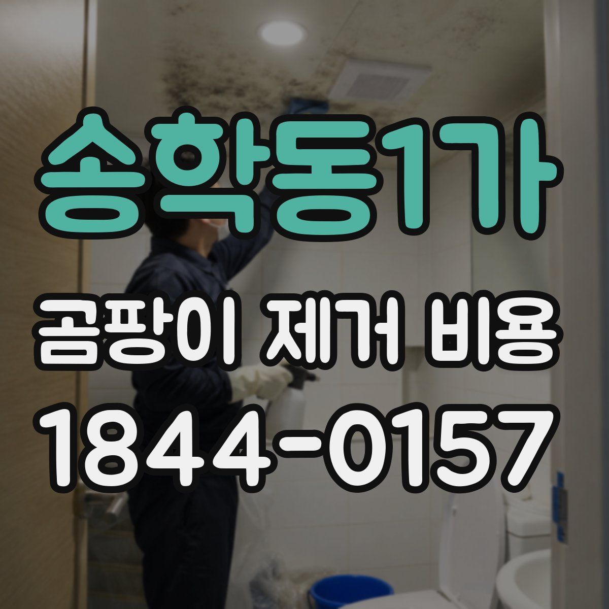 송학동1가 곰팡이 제거 비용
