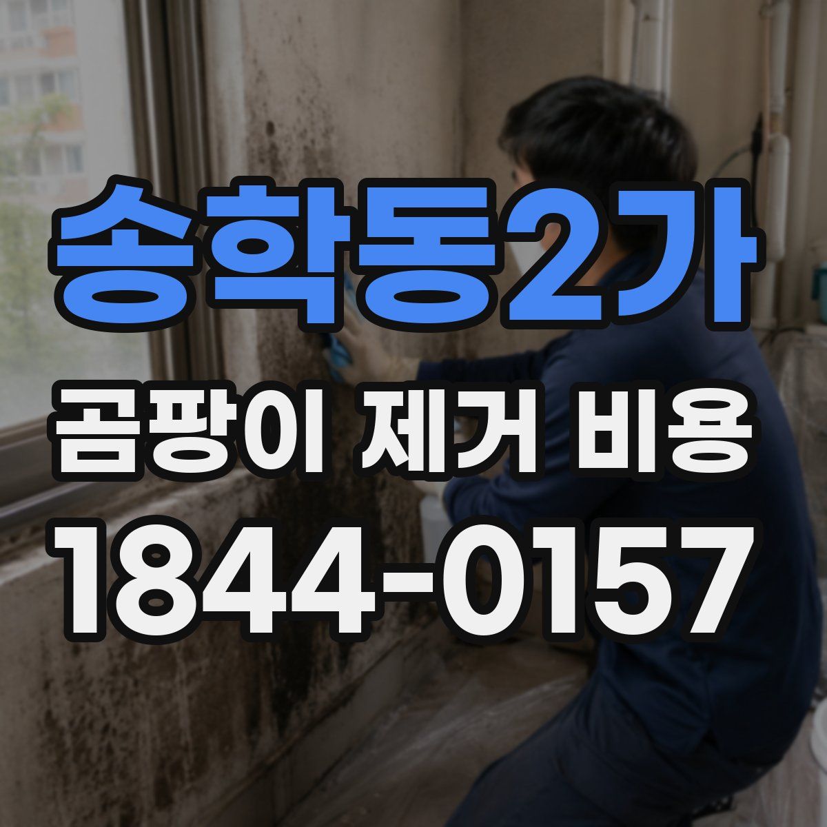 송학동2가 곰팡이 제거 비용