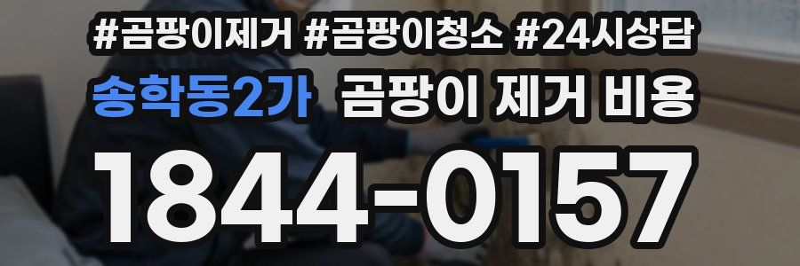 송학동2가 곰팡이 제거 비용