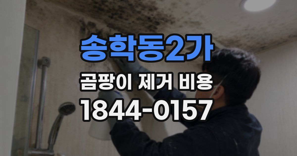 송학동2가 곰팡이 제거 비용