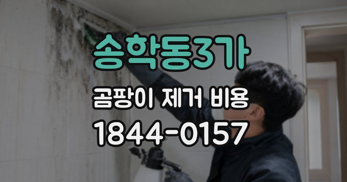 송학동3가 곰팡이 제거 비용