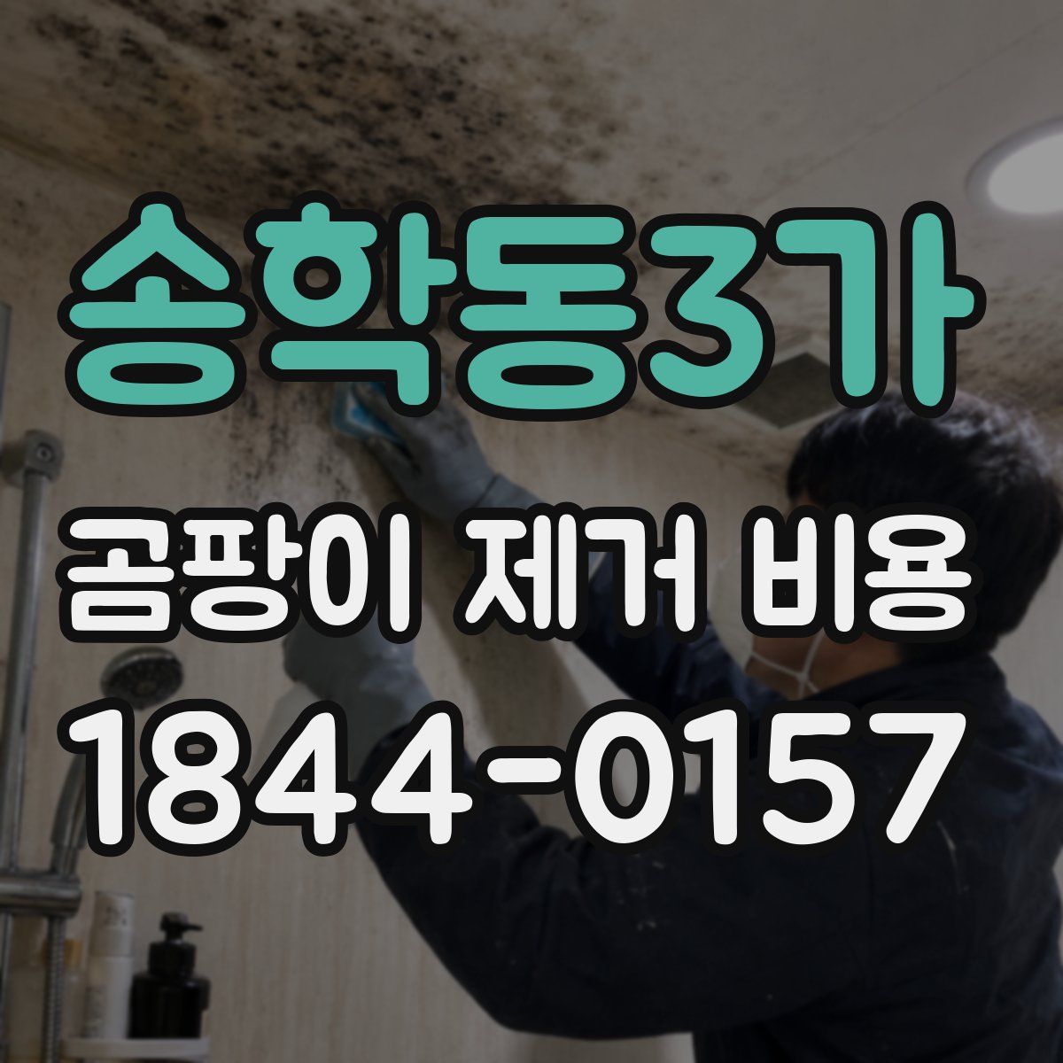 송학동3가 곰팡이 제거 비용