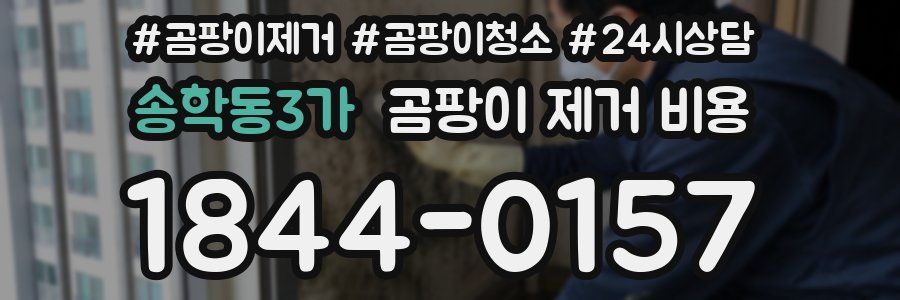송학동3가 곰팡이 제거 비용
