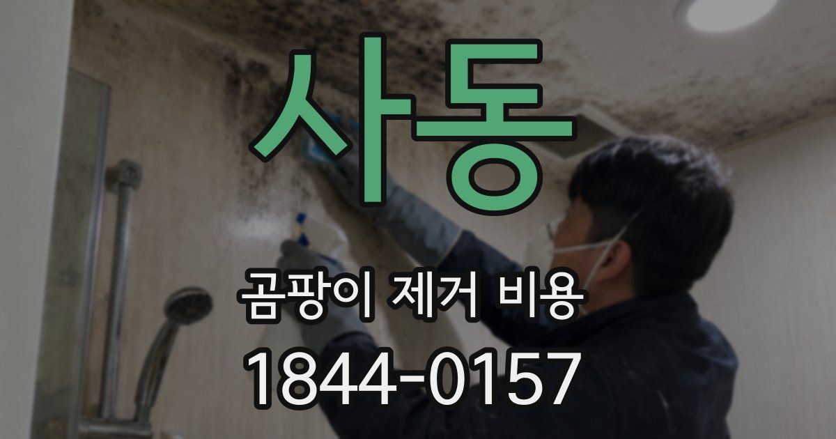 사동 곰팡이 제거 비용