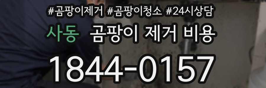 사동 곰팡이 제거 비용