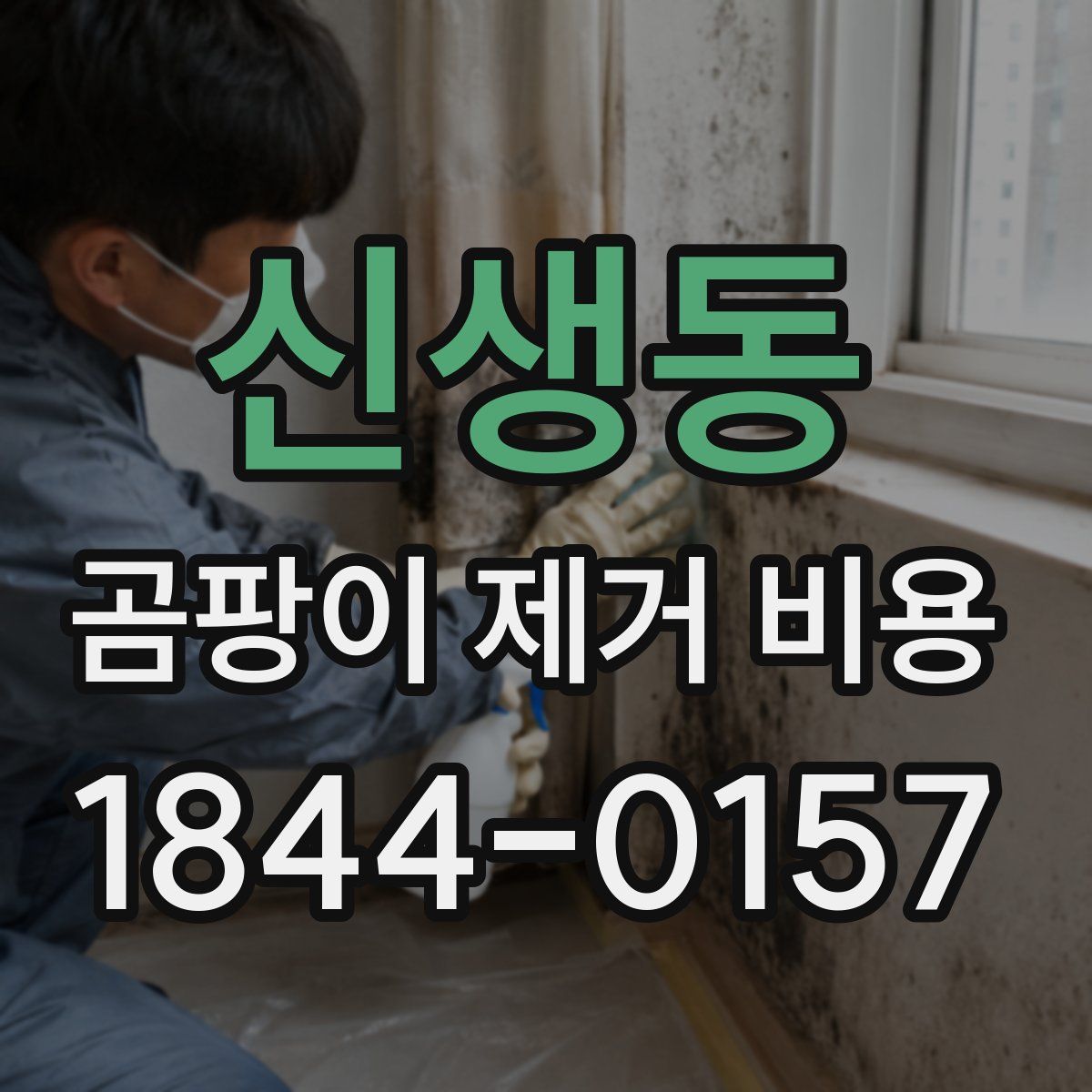 신생동 곰팡이 제거 비용